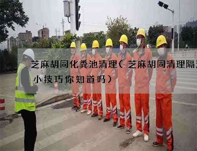 芝麻胡同化粪池清理(芝麻胡同清理隔油池小技巧你知道吗)