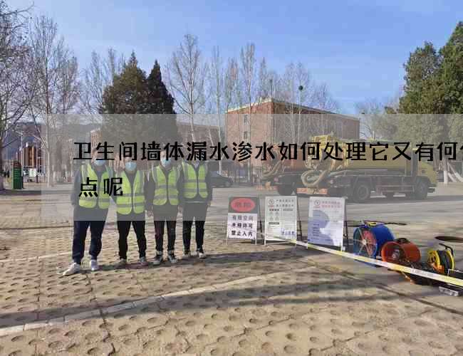 卫生间墙体漏水渗水如何处理它又有何优缺点呢? 卫生间墙体漏水渗水如何处理它又有何优缺点呢?