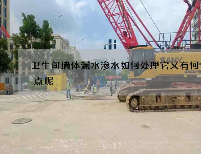 卫生间墙体漏水渗水如何处理它又有何优缺点呢? 卫生间墙体漏水渗水如何处理它又有何优缺点呢?