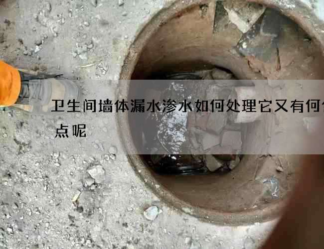 卫生间墙体漏水渗水如何处理它又有何优缺点呢? 卫生间墙体漏水渗水如何处理它又有何优缺点呢?