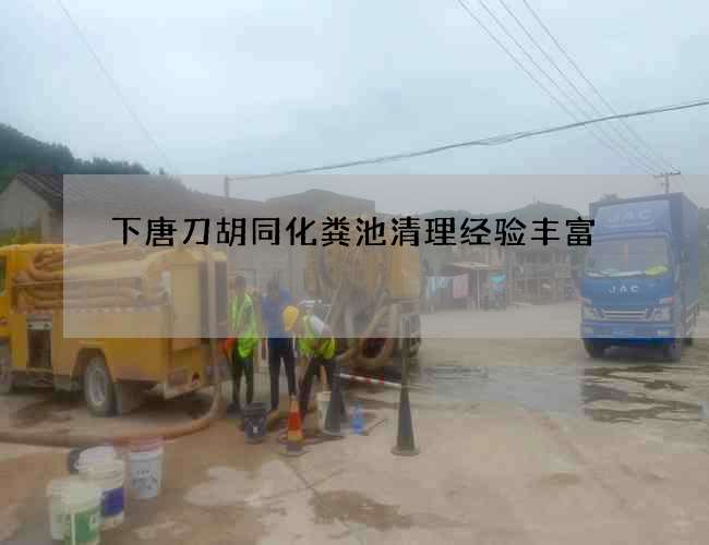下唐刀胡同化粪池清理经验丰富