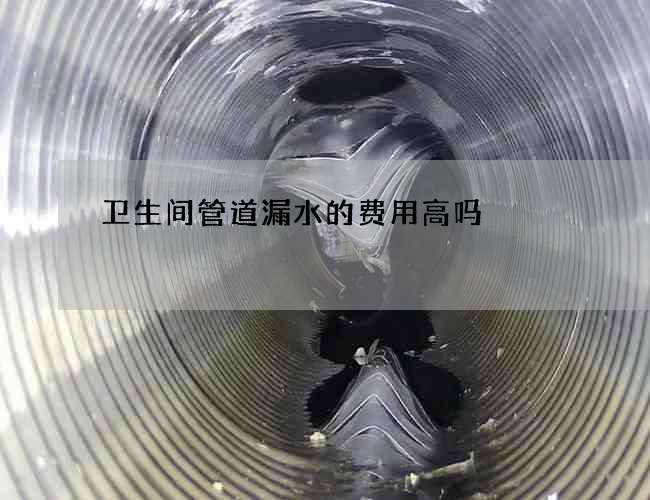 卫生间管道漏水的费用高吗