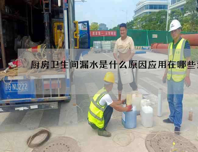 厨房卫生间漏水是什么原因应用在哪些地方