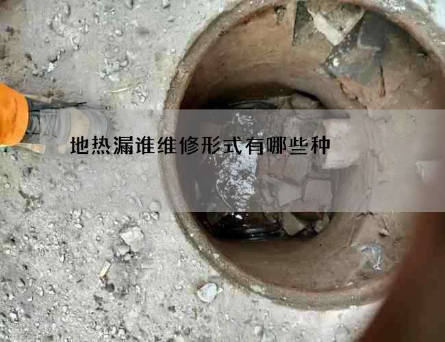 地热漏谁维修形式有哪些种