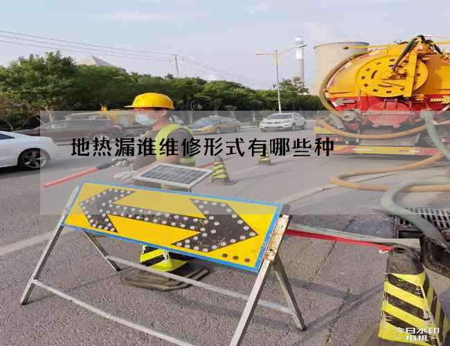 地热漏谁维修形式有哪些种