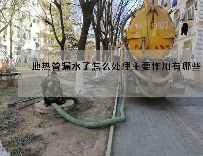 地热管漏水了怎么处理主要作用有哪些