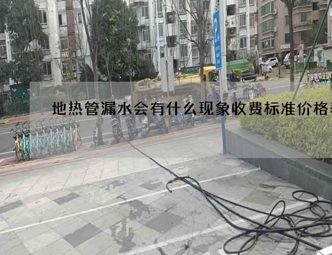 地热管漏水会有什么现象收费标准价格表