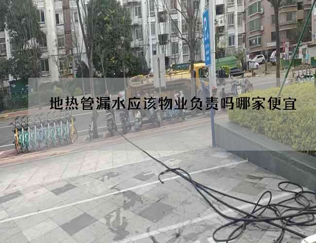 地热管漏水应该物业负责吗哪家便宜