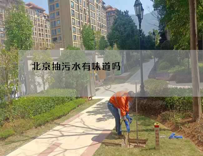 北京抽污水有味道吗