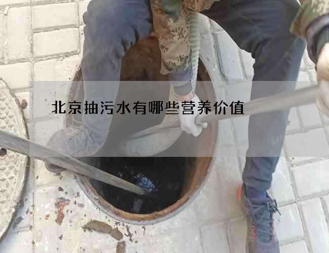 北京抽污水有哪些营养价值