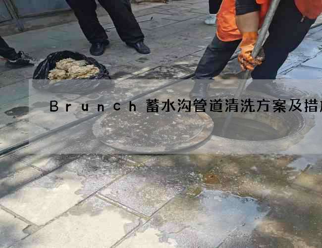 Brunch蓄水沟管道清洗方案及措施