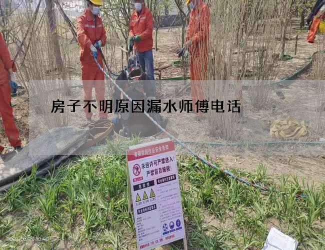 房子不明原因漏水师傅电话
