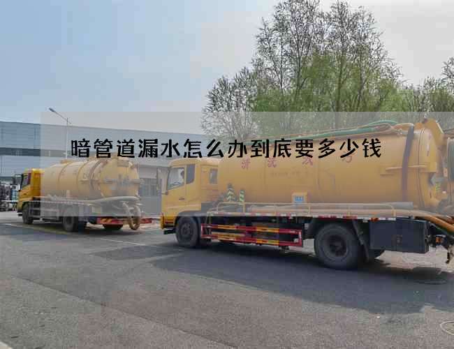 暗管道漏水怎么办到底要多少钱