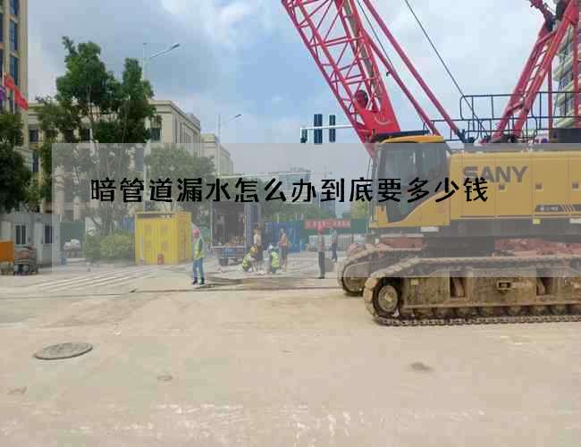 暗管道漏水怎么办到底要多少钱