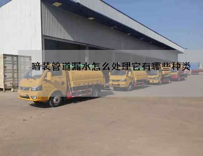 暗装管道漏水怎么处理它有哪些种类? 暗装管道漏水怎么处理它有哪些种类?