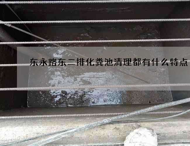 东永路东二排化粪池清理都有什么特点