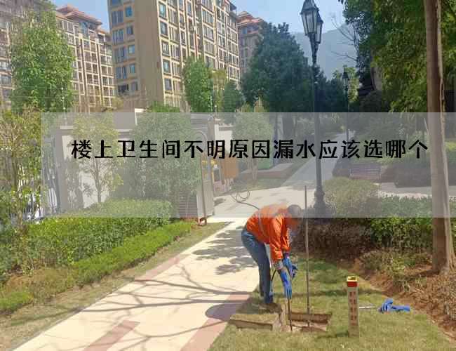 楼上卫生间不明原因漏水应该选哪个