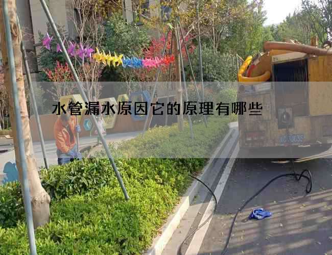 水管漏水原因它的原理有哪些