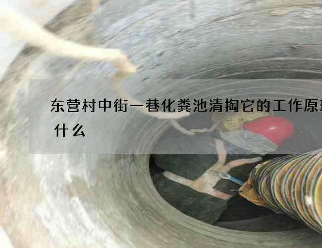 东营村中街一巷化粪池清掏它的工作原理是什么