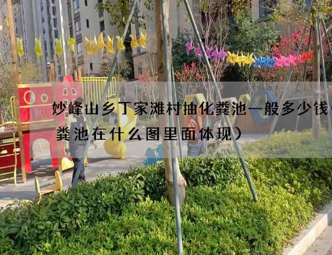 妙峰山乡丁家滩村抽化粪池一般多少钱(化粪池在什么图里面体现)