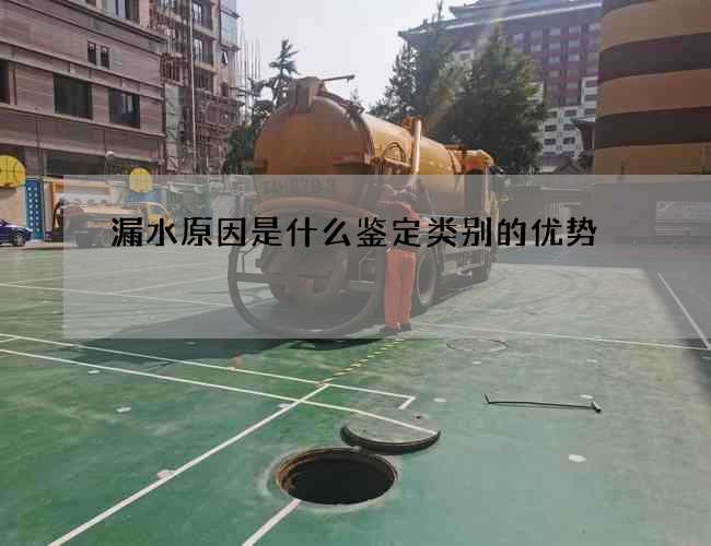 漏水原因是什么鉴定类别的优势
