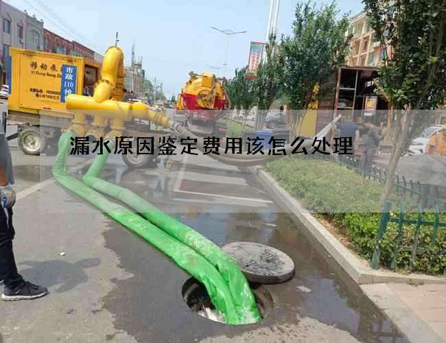 漏水原因鉴定费用该怎么处理