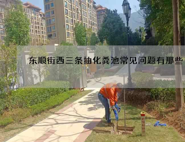 东顺街西三条抽化粪池常见问题有那些