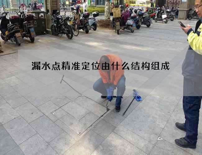 漏水点精准定位由什么结构组成