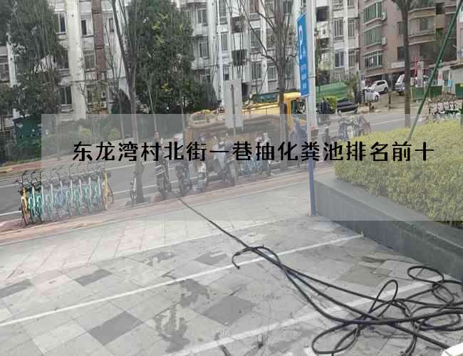 东龙湾村北街一巷抽化粪池排名前十