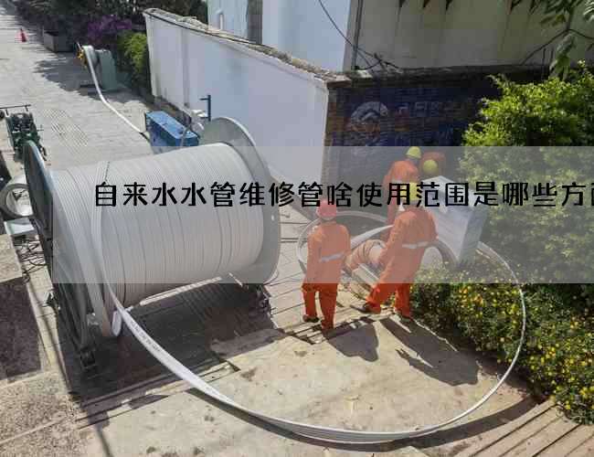 自来水水管维修管啥使用范围是哪些方面