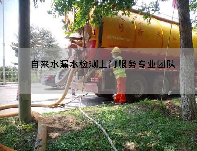 自来水漏水检测上门服务专业团队