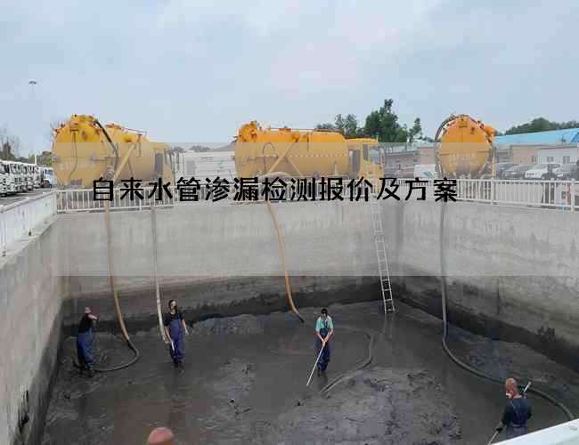 自来水管渗漏检测报价及方案