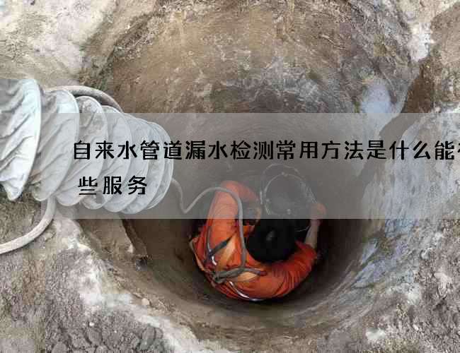 自来水管道漏水检测常用方法是什么能有哪些服务