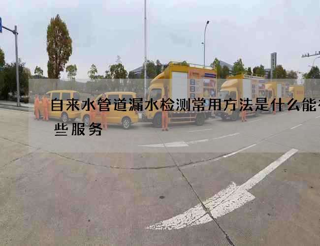 自来水管道漏水检测常用方法是什么能有哪些服务