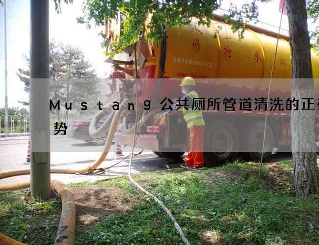 Mustang公共厕所管道清洗的正确姿势