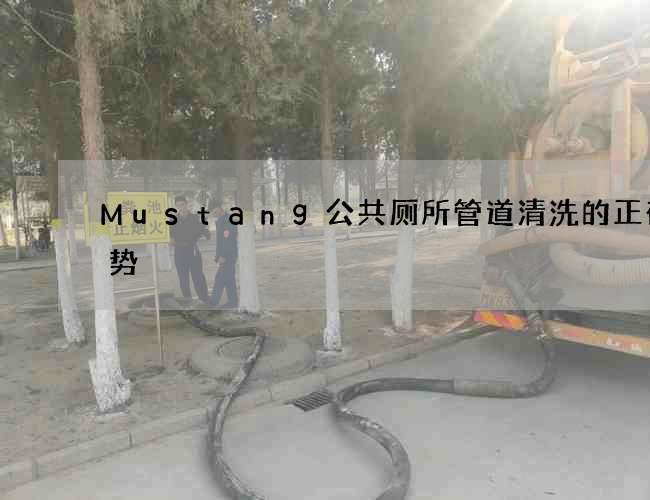 Mustang公共厕所管道清洗的正确姿势