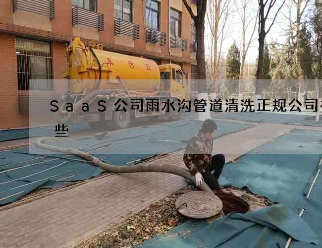 SaaS公司雨水沟管道清洗正规公司有哪些 SaaS公司雨水沟管道清洗正规公司有哪些