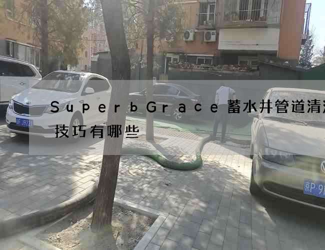 SuperbGrace蓄水井管道清洗的技巧有哪些?