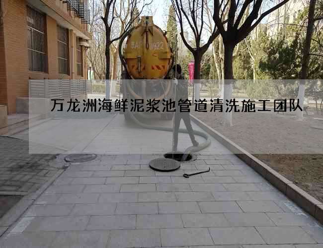 万龙洲海鲜泥浆池管道清洗施工团队