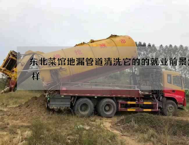 东北菜馆地漏管道清洗它的的就业前景怎么样