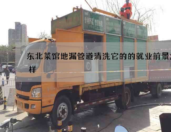 东北菜馆地漏管道清洗它的的就业前景怎么样