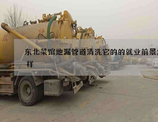 东北菜馆地漏管道清洗它的的就业前景怎么样