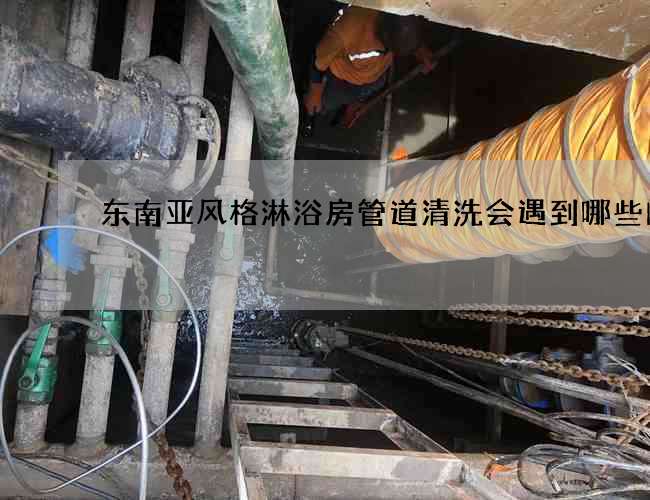 东南亚风格淋浴房管道清洗会遇到哪些问题