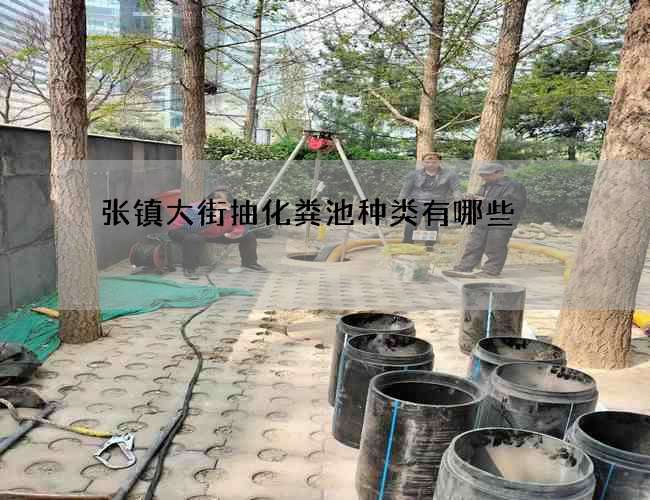 张镇大街抽化粪池种类有哪些