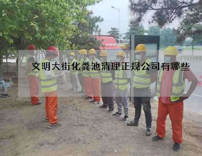 文明大街化粪池清理正规公司有哪些