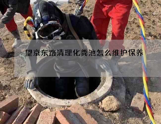 望京东路清理化粪池怎么维护保养