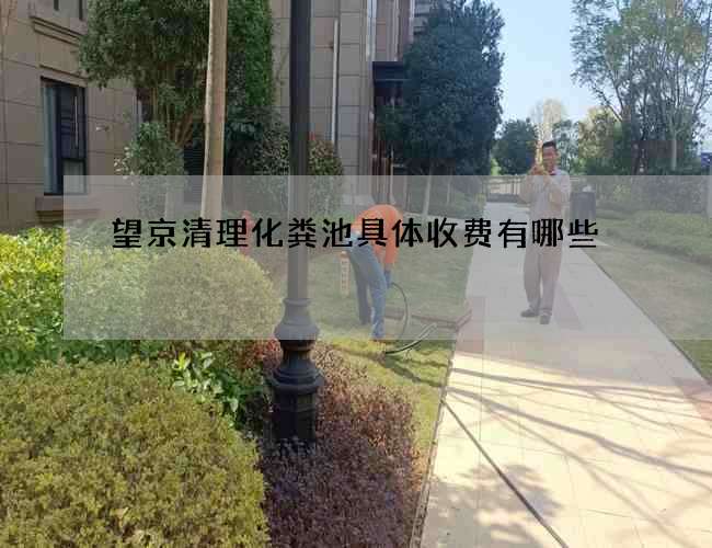 望京清理化粪池具体收费有哪些