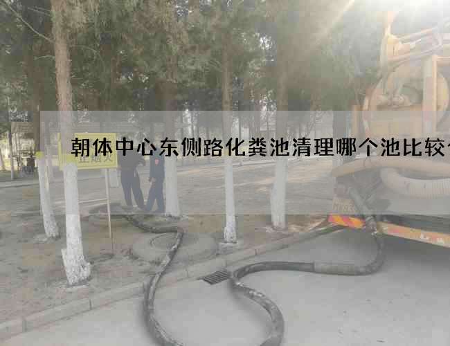 朝体中心东侧路化粪池清理哪个池比较合适