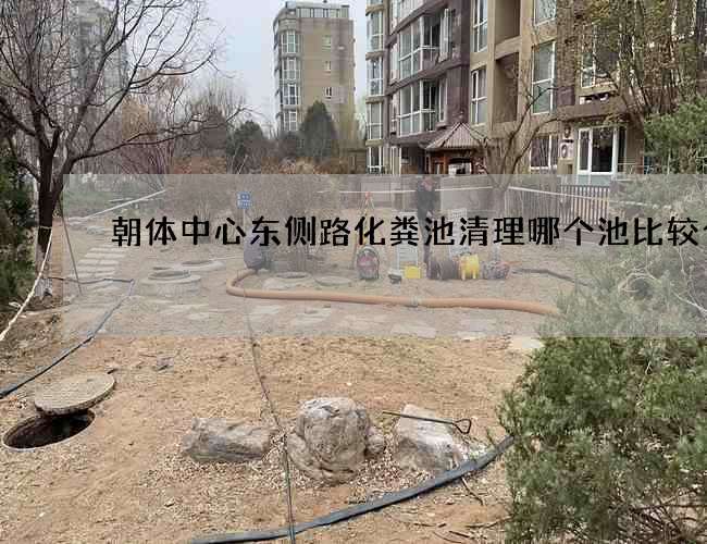 朝体中心东侧路化粪池清理哪个池比较合适