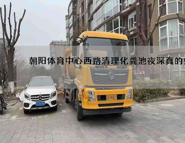 朝阳体育中心西路清理化粪池夜深真的好吗